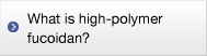 What is high-polymer fucoidan?