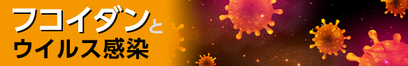 ウイルスと免疫とフコイダン